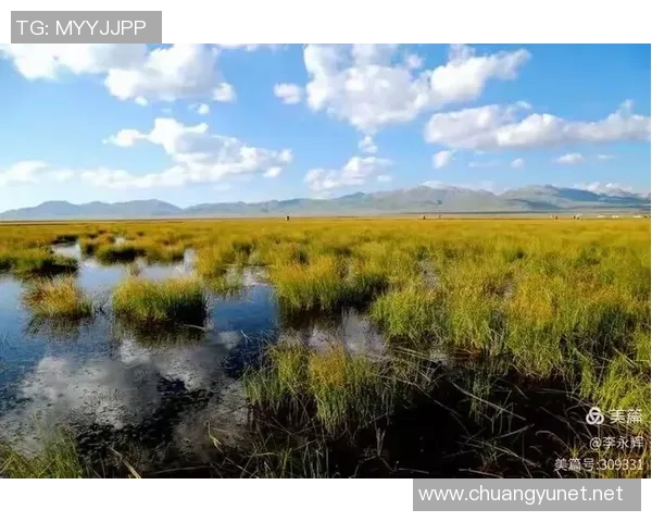 一瞬间的美丽如何在时光中凝固成永恒的记忆与感动